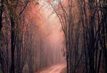 杨晨:蒯纪闻天赋和王钰栋不一样 很少见到这种人球结合快的球员.