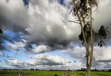 BOB体育：郑钦文取得澳网开门红人民日报客户端.