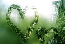 季后赛外援最终阵容：博班领衔多名大牌被淘汰 山西“押宝”新外援.