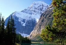 天津队 河南队 循环赛.